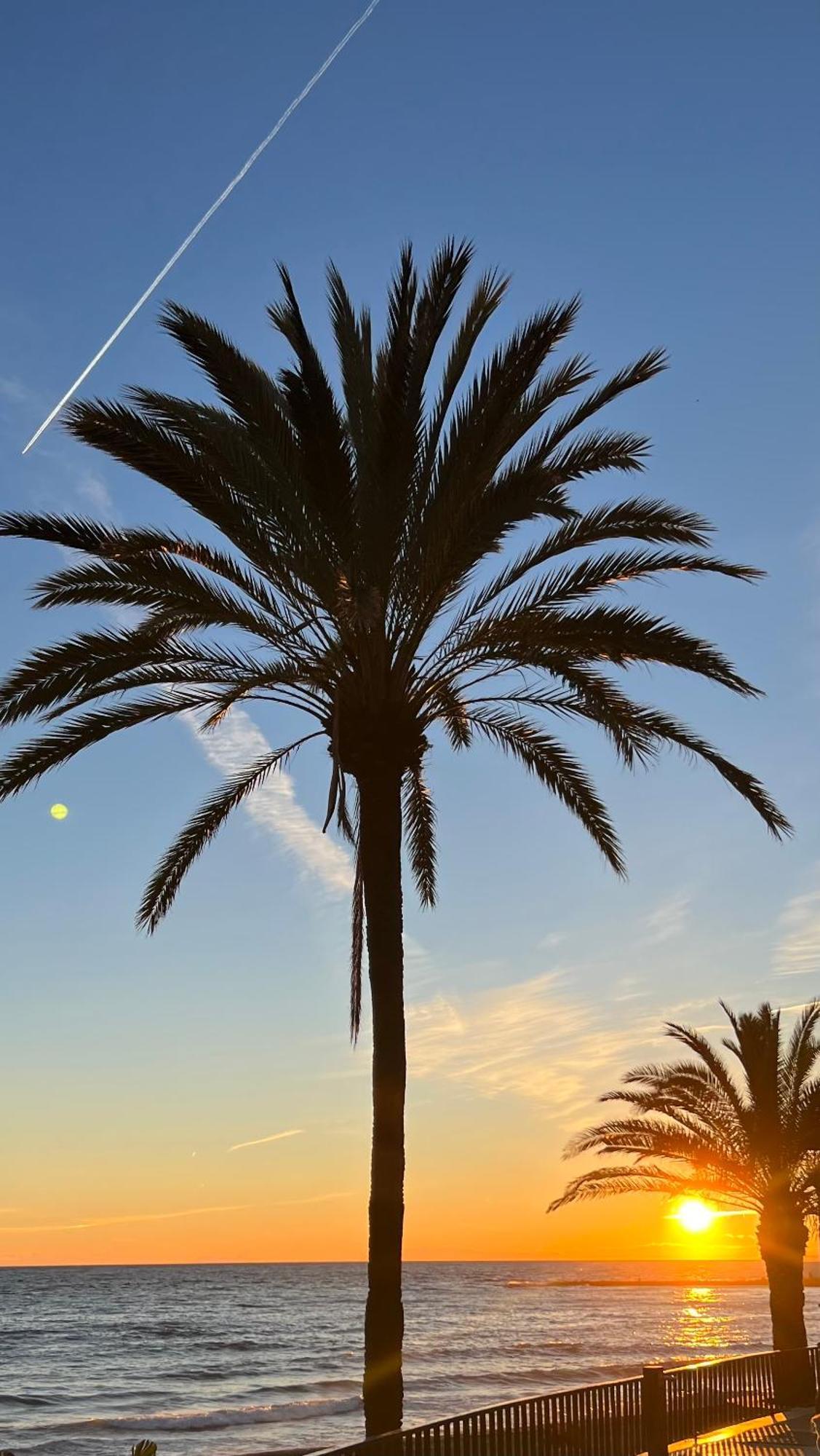 Apartamento Al Parque Marbella, Cerca De Mar Y Centro De Marbellac Extérieur photo